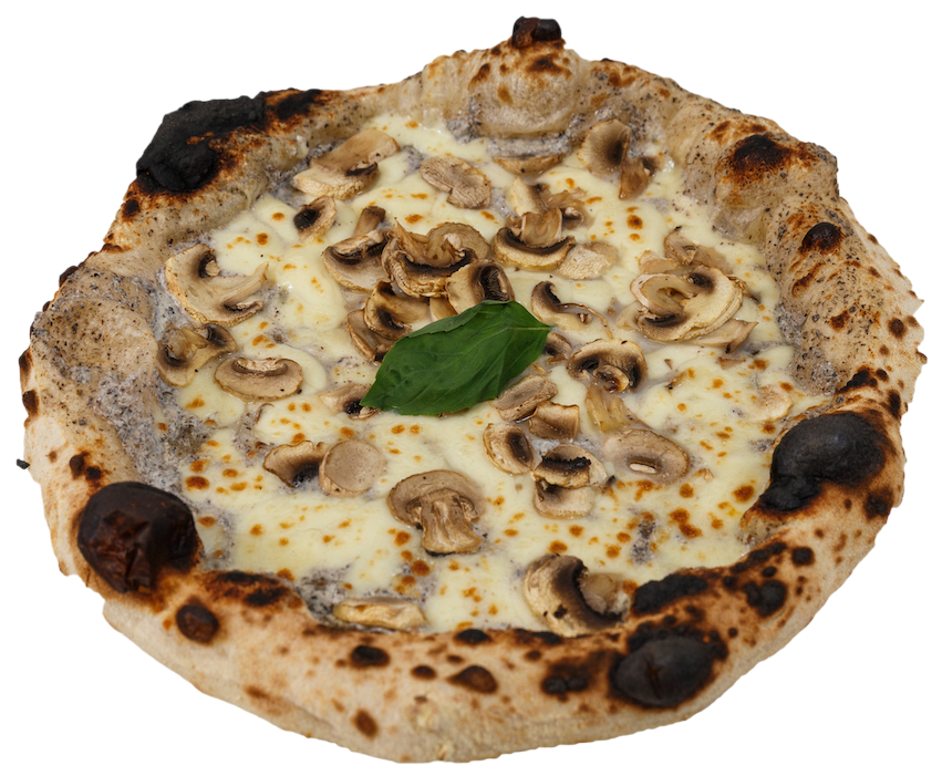 Pizza TARTUFO
Mozzarella, crème de truffe, champignons, basilic frais